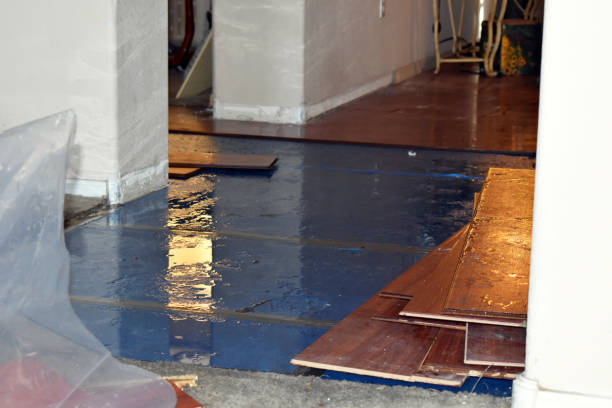 Professional Basement Water Removal technician working in Warren, ME